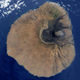 Illustration for article titled An Ancient Volcanic Collapse Triggered an 800 Foot Tsunami Wave